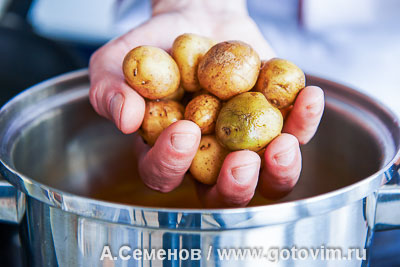 Салат из молодого картофеля и жареных кальмаров