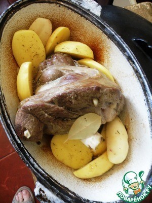 Баранья нога ароматная Баранья нога ароматная