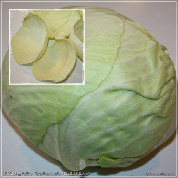 Басма или все-таки Дымляма