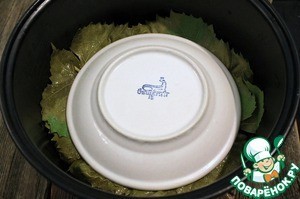 Долма Долма