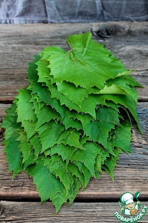 Долма Долма