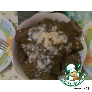 Долма или Дулмаяр Долма или Дулмаяр