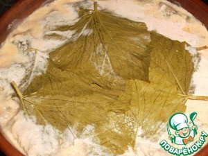 Долма из телятины "Мой вариант" Долма из телятины "Мой вариант"