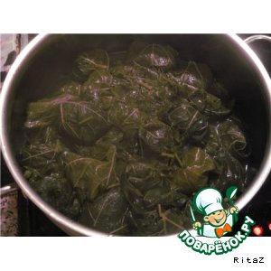 Долма обычная Долма обычная