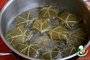 Долма особенная