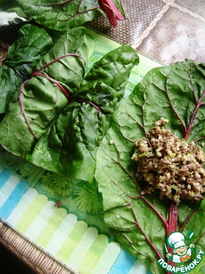 Долма по-читински из мангольда