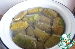 Долма под соусом из мацони