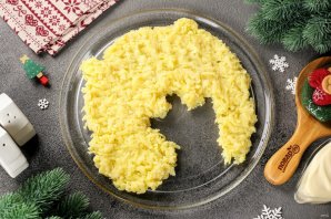 "Селедка под шубой" на год Дракона "Селедка под шубой" на год Дракона