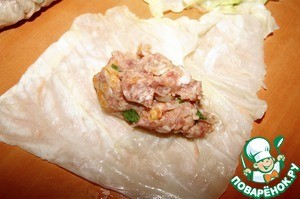 Голубцы №№ Голубцы №№