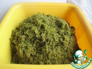 Хвоя сосновая ферментированная Хвоя сосновая ферментированная