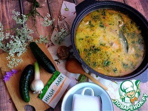 Кондер из мяса индейки