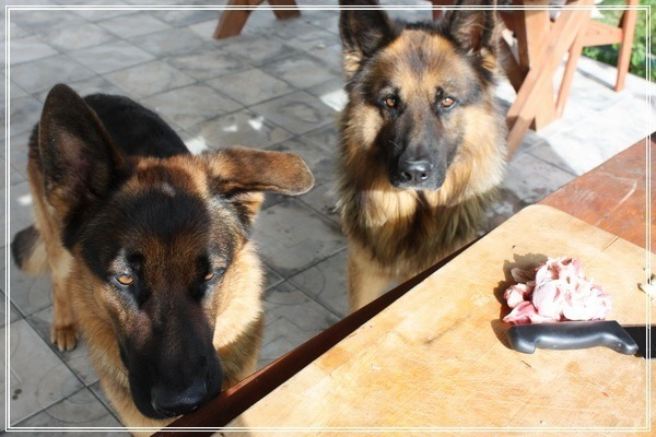 Козлятина с антоновкой и черносливом в казане Козлятина с антоновкой и черносливом в казане