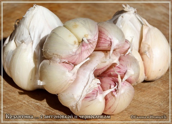 Козлятина с антоновкой и черносливом в казане Козлятина с антоновкой и черносливом в казане