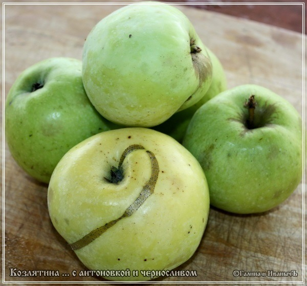 Козлятина с антоновкой и черносливом в казане Козлятина с антоновкой и черносливом в казане