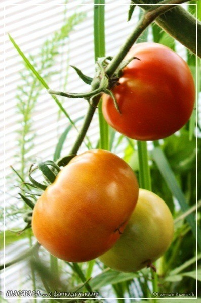 Мастава с фрикадельками Мастава с фрикадельками