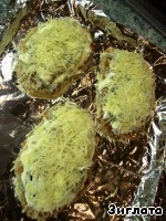 Мясо на дранике