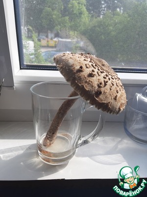 Ножки боровиков в кляре