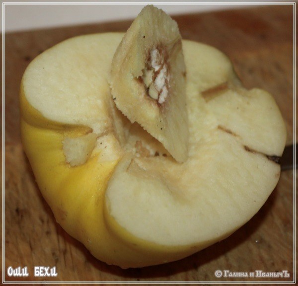 Оши Бехи-айва с рубленой бараниной Оши Бехи-айва с рубленой бараниной