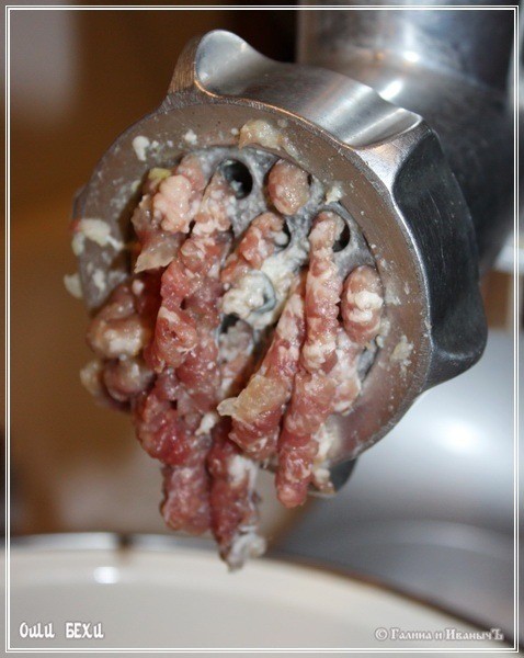 Оши Бехи-айва с рубленой бараниной Оши Бехи-айва с рубленой бараниной