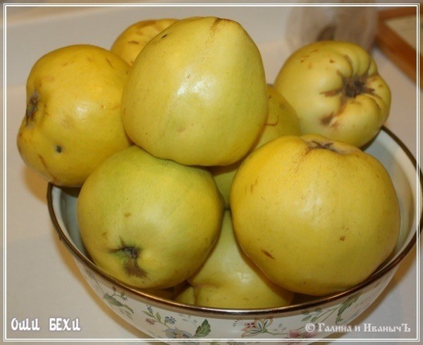 Оши Бехи-айва с рубленой бараниной Оши Бехи-айва с рубленой бараниной