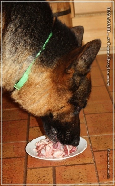 Пельмени... от Галины Поскрёбышевой