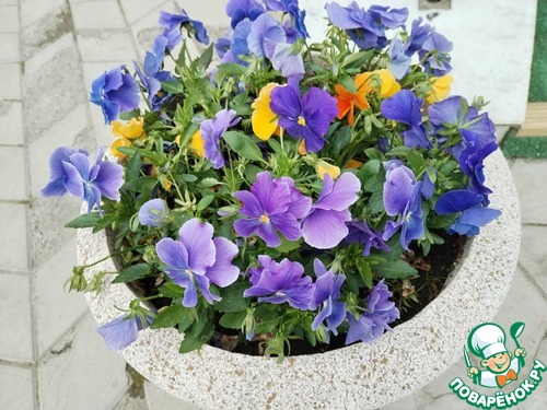 Пирог из картофельного пюре с колбасками Пирог из картофельного пюре с колбасками