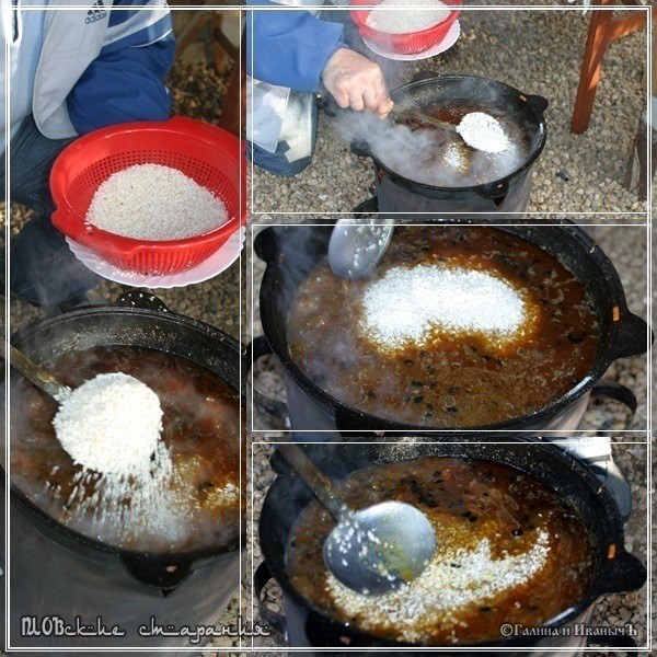 Плов или ПЛОВские старания Плов или ПЛОВские старания