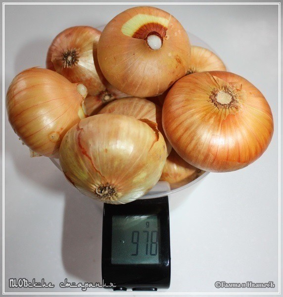 Плов или ПЛОВские старания Плов или ПЛОВские старания