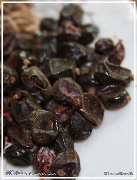 Плов или ПЛОВские старания Плов или ПЛОВские старания