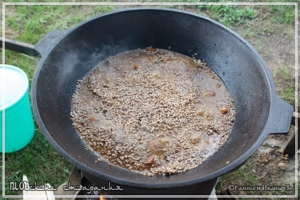 Плов или ПЛОВские старания Плов или ПЛОВские старания