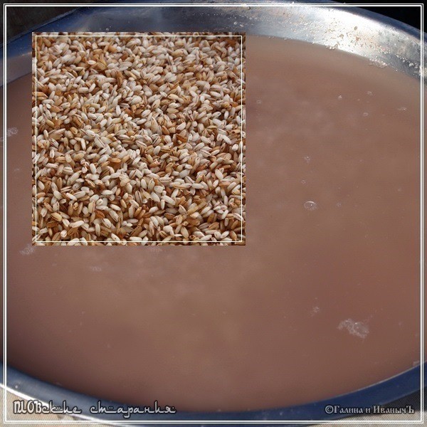 Плов или ПЛОВские старания Плов или ПЛОВские старания