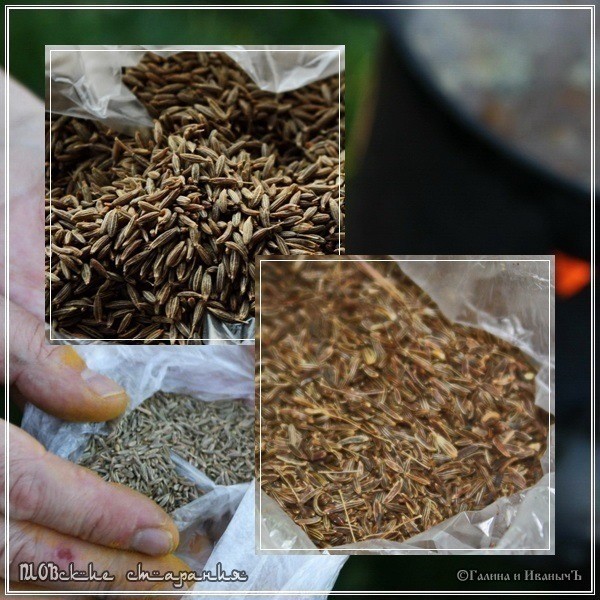 Плов или ПЛОВские старания Плов или ПЛОВские старания