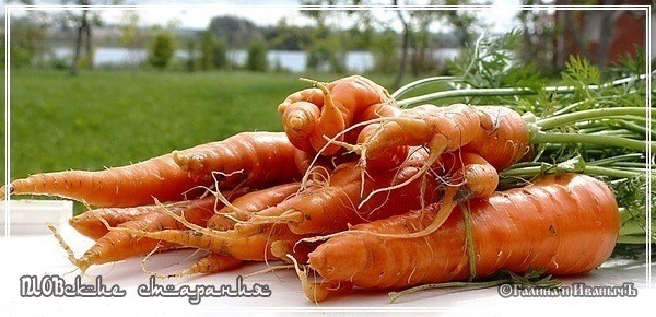 Плов или ПЛОВские старания Плов или ПЛОВские старания