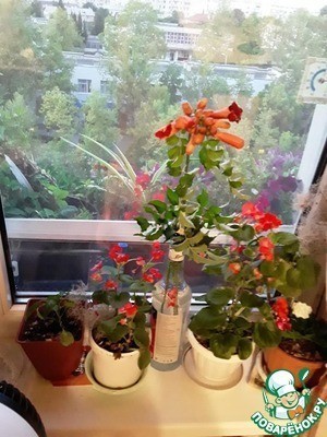 Рис креветочный "Женское счастье"