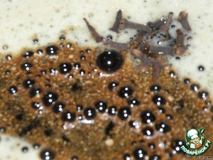 Рулька в темном пиве без варки