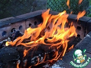 Шашлык из индейки с ягодным соусом