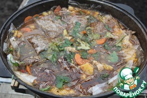 Шурпа бурлацкая Шурпа бурлацкая