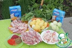 Шурпа бурлацкая Шурпа бурлацкая