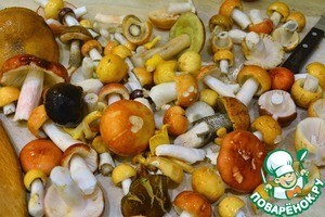 Жаркое "Грибное лукошко" Жаркое "Грибное лукошко"