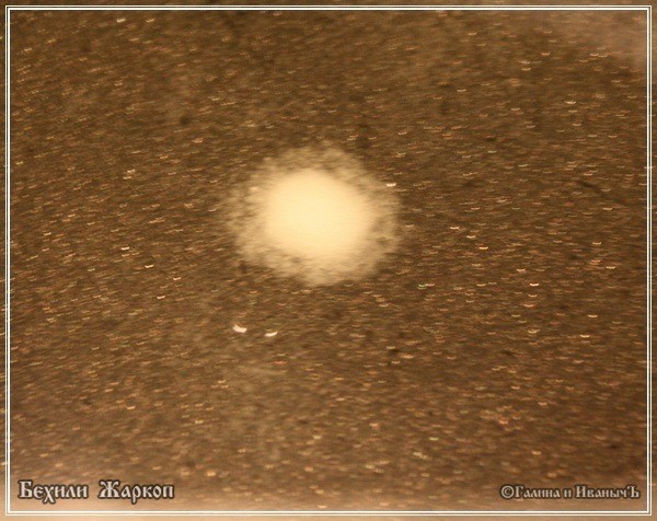 Жаркое из баранины с айвой "Бехили Жаркоп" Жаркое из баранины с айвой "Бехили Жаркоп"