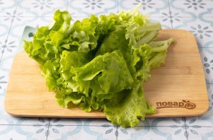 Заморозка листьев салата на зиму Заморозка листьев салата на зиму