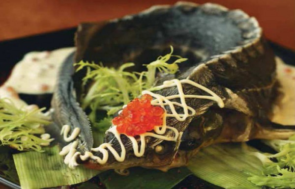 Горячие блюда на Новый 2024 год — что можно приготовить нового и интересного на новогодний стол
Горячие блюда на Новый 2024 год — что можно приготовить нового и интересного на новогодний стол