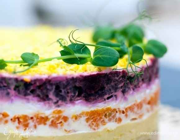 Полезная селедка под шубой без картошки — необычный рецепт от врача Стародубцевой Полезная селедка под шубой без картошки — необычный рецепт от врача Стародубцевой