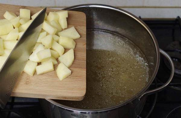 Солянка мясная сборная