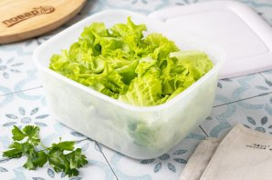 Заморозка листьев салата на зиму Заморозка листьев салата на зиму