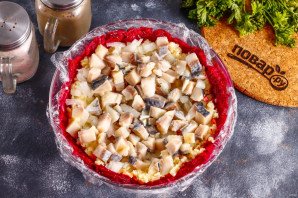 Сельдь под куполом Сельдь под куполом