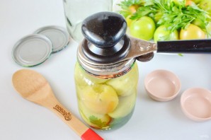 Консервированные зеленые помидоры Консервированные зеленые помидоры