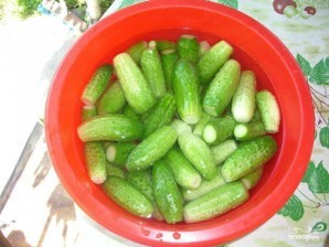 Консервированные огурцы Консервированные огурцы