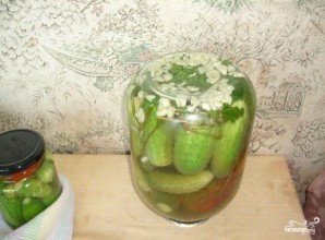 Консервированные огурцы Консервированные огурцы