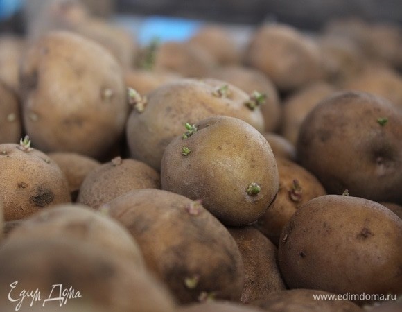 Можно ли есть зеленый и проросший картофель — врач перечислила неминуемые последствия